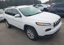 1C4PJLLB5JD590393: 43950047