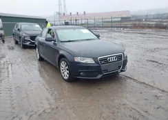 WAUFFAFL6BN011457: 43950058