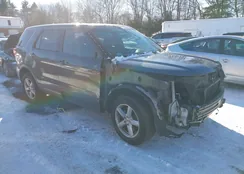 1FM5K8DH6HGB75740: 43949714