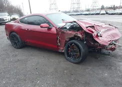 1FA6P8CF8H5256220: 43952304