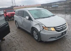 5FNRL5H42EB010699: 43951448