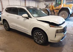 5NMS5DAL0MH321777: 43952452