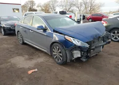 5NPE34AF7HH500243: 43952510