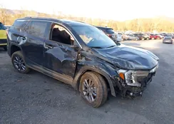 3GKALPEG3PL192252: 43952617