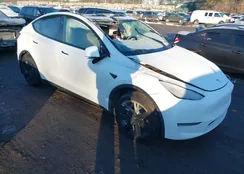 7SAYGDED8RF089268: 43953943