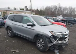 5FNYF6H51KB007497: 43954171