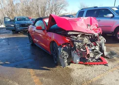 1FATP8UH3M5119134: 43955292