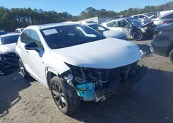 JTJSARBZXM2198728: 43954741