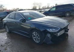 5NPEL4JA9MH087613: 43955947