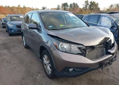 5J6RM4H53CL079776: 43955568