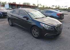 5NPE24AF6FH142651: 43956452