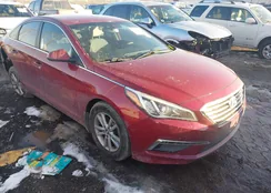 5NPE24AF5FH214715: 43956459