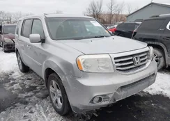 5FNYF4H56CB061495: 43959172