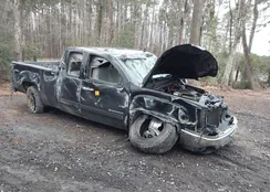 1GTR1VE01BZ186169: 43959802