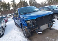 1FTEW1EP9JFB46976: 43959852