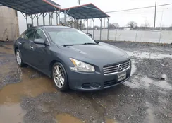 1N4AA51E29C835141: 43959475