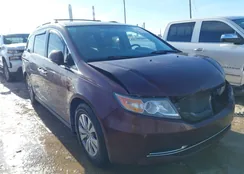 5FNRL5H69FB094183: 43960753