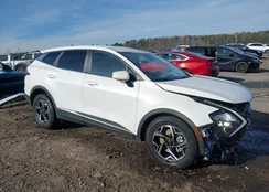 KNDPU3AF7P7117213: 43961074