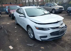 1G1ZD5ST5JF124322: 43961176