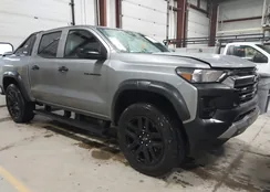 1GCPTEEK9S1225284: 43960600