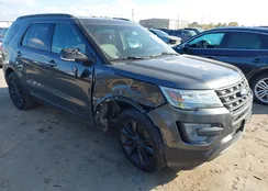 1FM5K7D81HGA86653: 43962063