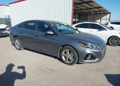 5NPE34AF5KH759465: 43964117