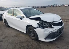 4T1C31AK8MU025362: 43965180