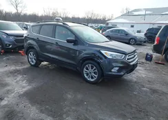 1FMCU0HD5JUD01586: 43965237