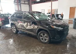 2T3P1RFV0RW424211: 43964436