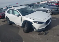 3MVDMBAL2NM403281: 43964663