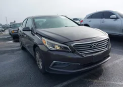 5NPE24AF5FH178251: 43965379