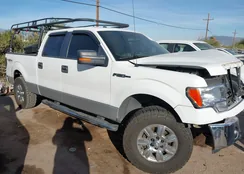 1FTFW1EF9BKD71581: 43967136