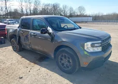 3FTTW8H95RRB61499: 43967242