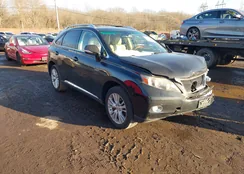 JTJBC1BA5A2411425: 43967944