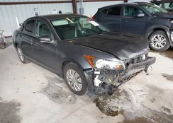 1HGCP2F37CA153254: 43967731