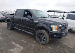 1FTEW1CP3JKD93310: 43968973