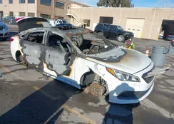 5NPE34AF7GH381673: 43968554