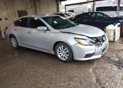 1N4AL3AP9GN344647: 43968568