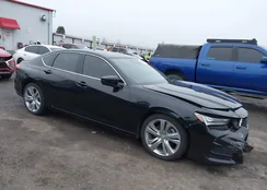 19UUB6F46MA006587: 43970058