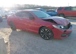 1HGCT1B61GA001496: 43970213