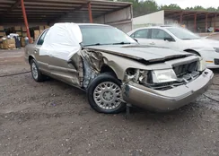 2MEFM74W53X645608: 43970594