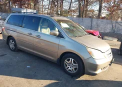 5FNRL38865B032647: 43973822