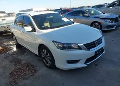 1HGCR2F37FA111441: 43973992