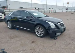 2G61M5S31G9196630: 43974191