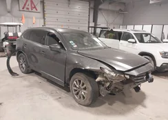 JM3TCBCY1K0305731: 43973457