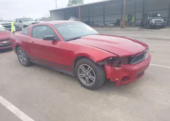 1ZVBP8AM6C5208554: 43973658