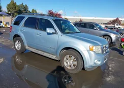 1FMCU59389KA58995: 43974608