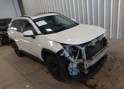 2T3P1RFV1KC002682: 43974670