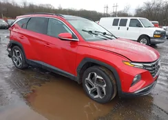 5NMJECAE1PH184134: 43975860