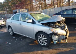 2T1BU40E79C117724: 43975973